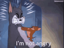 Tom And Jerry Angry GIF - Tom And Jerry Angry Mad GIFs