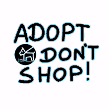 adopt dont shop dog dogs dan spet care