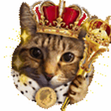 royal bingo cat queen