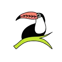 a black and white toucan with a large beak is perched on a green branch