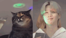 Jimitendo Yoongi GIF - Jimitendo Yoongi Yoongi Cat - Discover & Share GIFs