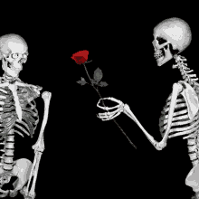 love till death do us part skeletons in love rose and heart love you