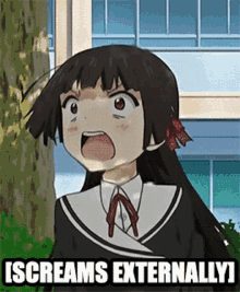 Screaming External Anime GIF - Screaming External Anime Angry GIFs