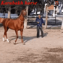 Karabakh Horse карабахская GIF - Karabakh Horse карабахская лошадь GIFs