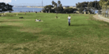 a person is riding a scooter in a park .