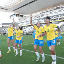 Comemoracao Cbf GIF - Comemoracao Cbf Confederação Brasileira De Futebol GIFs