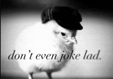 a black and white photo of a bird wearing a hat with the words " don 't even joke lad " written below it