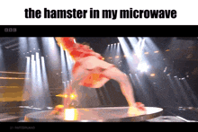 the hamster in my microwave is shown on a screen
