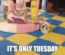Tuesday Only Tuesday GIF - Tuesday Only Tuesday Dogecoin GIFs
