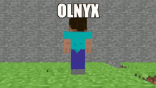 Olnyx Minecraft GIF - Olnyx Minecraft Herobri GIFs