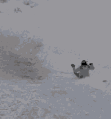 Marlien Snow GIF