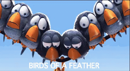 Birds Of A Feather GIF - Birds Of A Feather Birds Of A Feather Flock  Together - Discover & Share GIFs