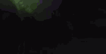 a green and black background with a blurred image of a forest