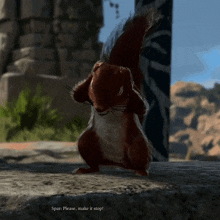 a squirrel is standing on a rock with the words " spar please make it stop " below it