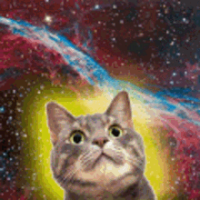 GIF