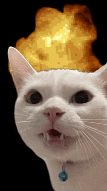 Snowballcat Starcat GIF - Snowballcat Starcat Explode GIFs