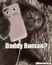 Roman Kitten GIF - Roman Kitten Roman Mod GIFs