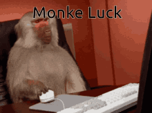 Monke Luck GIF - Monke Luck GIFs