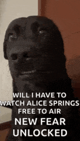 Tiktok Dog Awkward Dog GIF