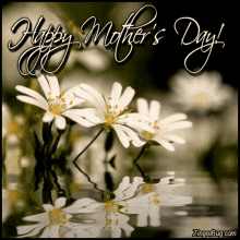 Happy Mothers Day Flowers GIF - Happy Mothers Day Flowers Reflection GIFs