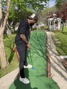Putt Putt Hole In One GIF - Putt Putt Hole In One Swing And A Miss GIFs