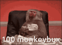 Monkey Bux GIF - Monkey Bux Monkeybux GIFs