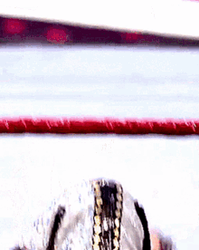 a close up of a person in a wrestling ring with a red rope in the background