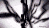 Ushi Gozen Ox King Reversal GIF - Ushi Gozen Ox King Reversal Frenzied Tempest GIFs