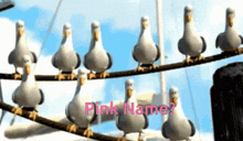 Pink Name Mine GIF - Pink Name Mine Gulls GIFs
