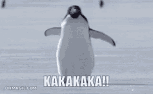 Penguin Ice GIF - Penguin Ice Kakakaka GIFs