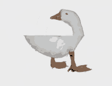 Goose Scrolling GIF - Goose Scrolling Duck GIFs