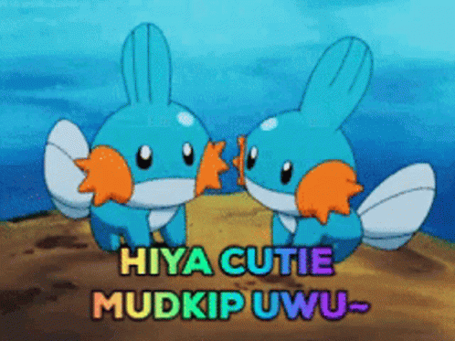 pokemon mudkip cute