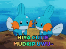 Mudkip Cute Mudkip GIF - Mudkip Cute Mudkip Lily GIFs