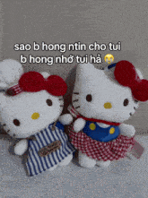 two stuffed hello kitty dolls are sitting next to each other with a caption that says sao b hong ntin cho tui
