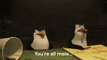 Penguins Male GIF - Penguins Male You'Re All Male GIFs