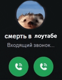a picture of a hedgehog with the words " смерть в лоутабе " on the top