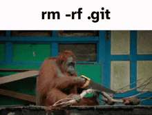 Merge Conflict Github GIF - Merge Conflict Github Git GIFs