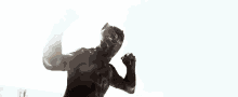 Fight Black GIF - Fight Black Panther GIFs