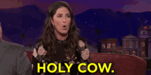 Holy Cow GIF - Holy Cow Holy Moly Wow GIFs