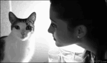 Cat Kisses GIF - Ariana Grande Cat Kiss GIFs