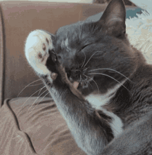 Cat Cat Grooming GIF - Cat Cat Grooming Cat Licking Itself GIFs