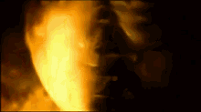 David Icke - Opening To Awareness...Beyond Mind To Consciousness GIF - GIFs