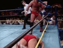 Anderson Stomp GIF - Anderson Stomp Wrestling GIFs
