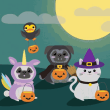 Halloween Animals GIF - Halloween Animals Cute GIFs
