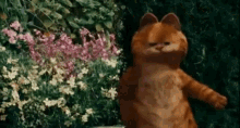 Garfield Cat GIF - Garfield Cat Dance GIFs