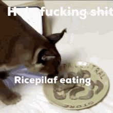 Pilaf Ricepilaf GIF - Pilaf Ricepilaf Floppa GIFs