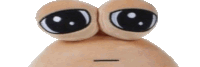 a close up of a stuffed animal with big eyes and a smiley face
