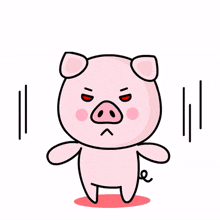 pig animal pink cute mad