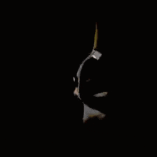 a close up of a cat 's face in the dark