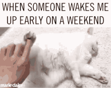 Wake Up Weekend GIF - Wake Up Weekend Rude GIFs
